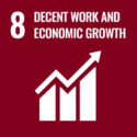 SDG8