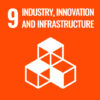 SDG9